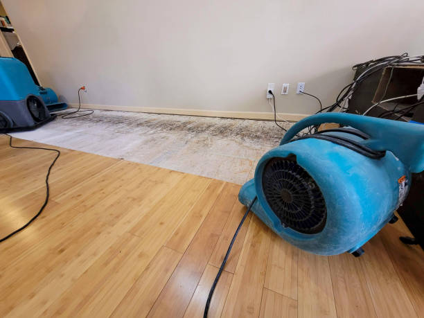 Professional Flood Damage Cleanup technician working in Smyrna, DE